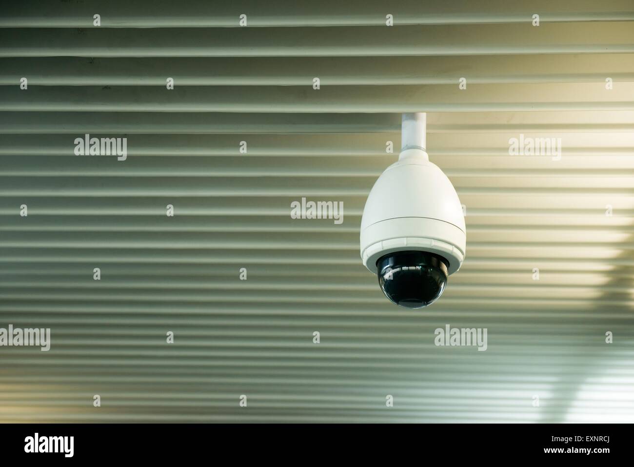 cctv camera hang on the ceiling Stock Photo Alamy