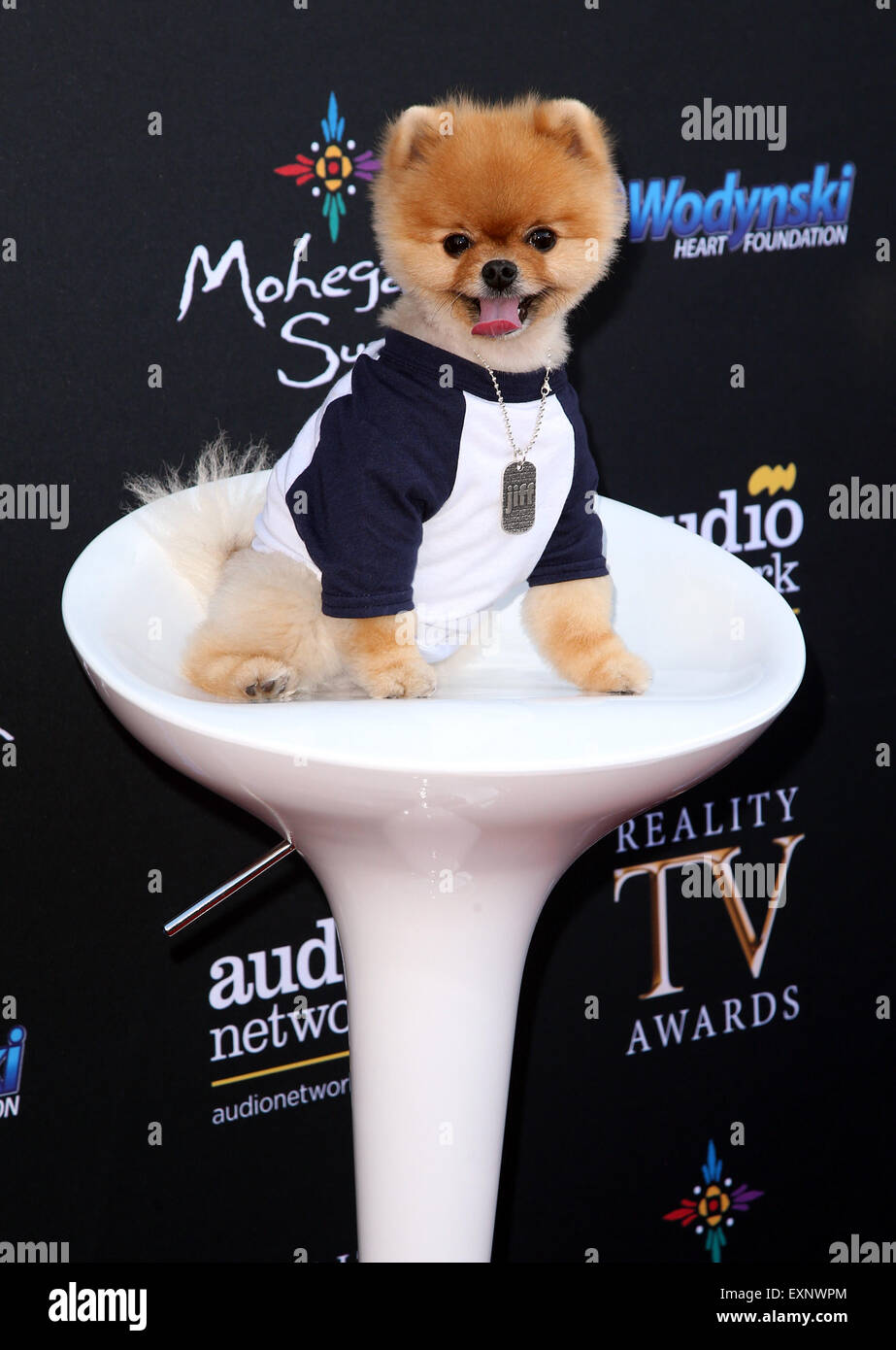 3rd Annual Reality TV Awards Featuring: Jiff Pom Where: Hollywood Stock  Photo - Alamy