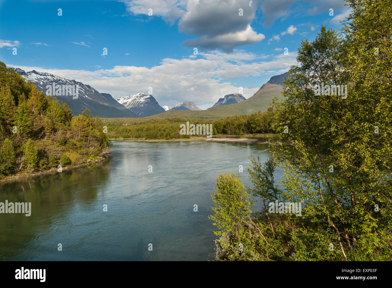 Mountains and the forest of Norway under the blue sky Stock Photo - Alamy