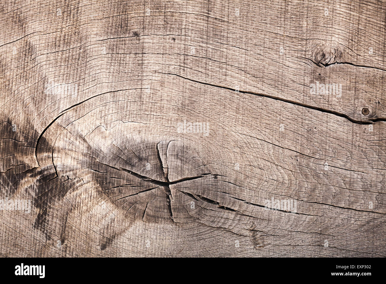 Dark brown old wooden board, closeup background texture with cracks and knot Stock Photo