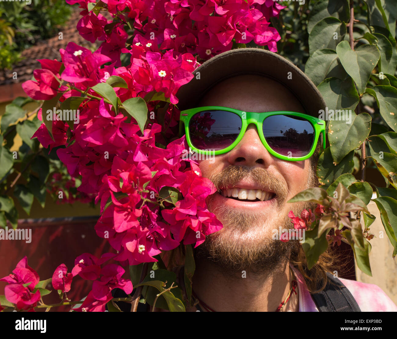 Man pruning flowers and gardening. Stock Photo