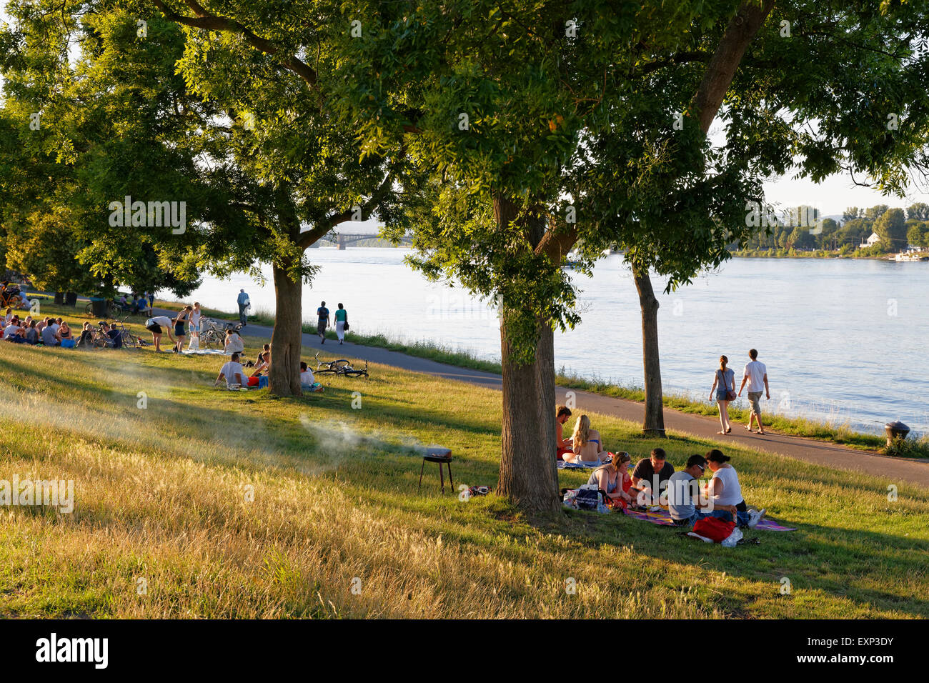 People having a barbecue on a summer evening on the bank of the river ...
