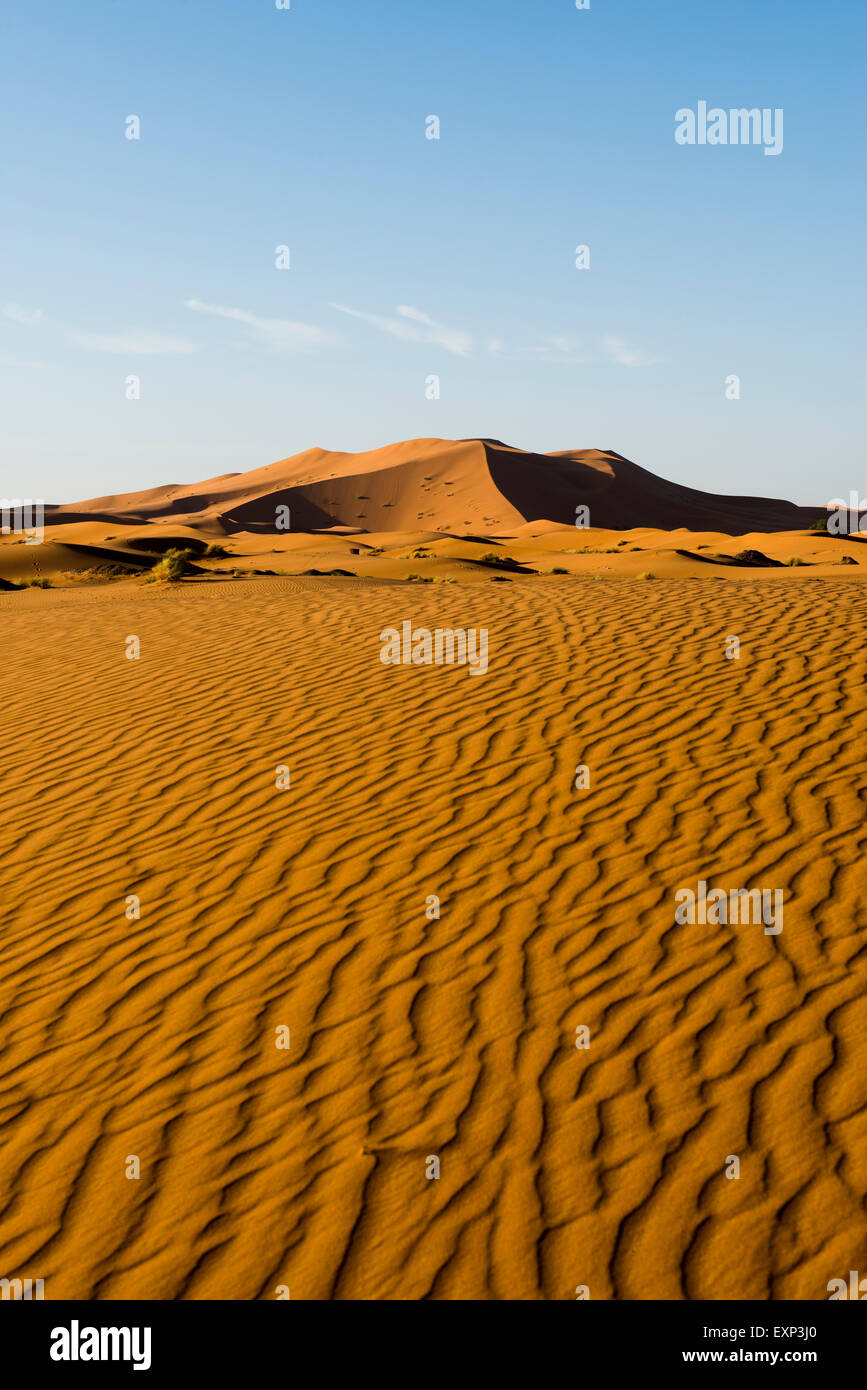 Sand dunes in morning light, Merzouga, MeknèsTafilalet Region, Morocco