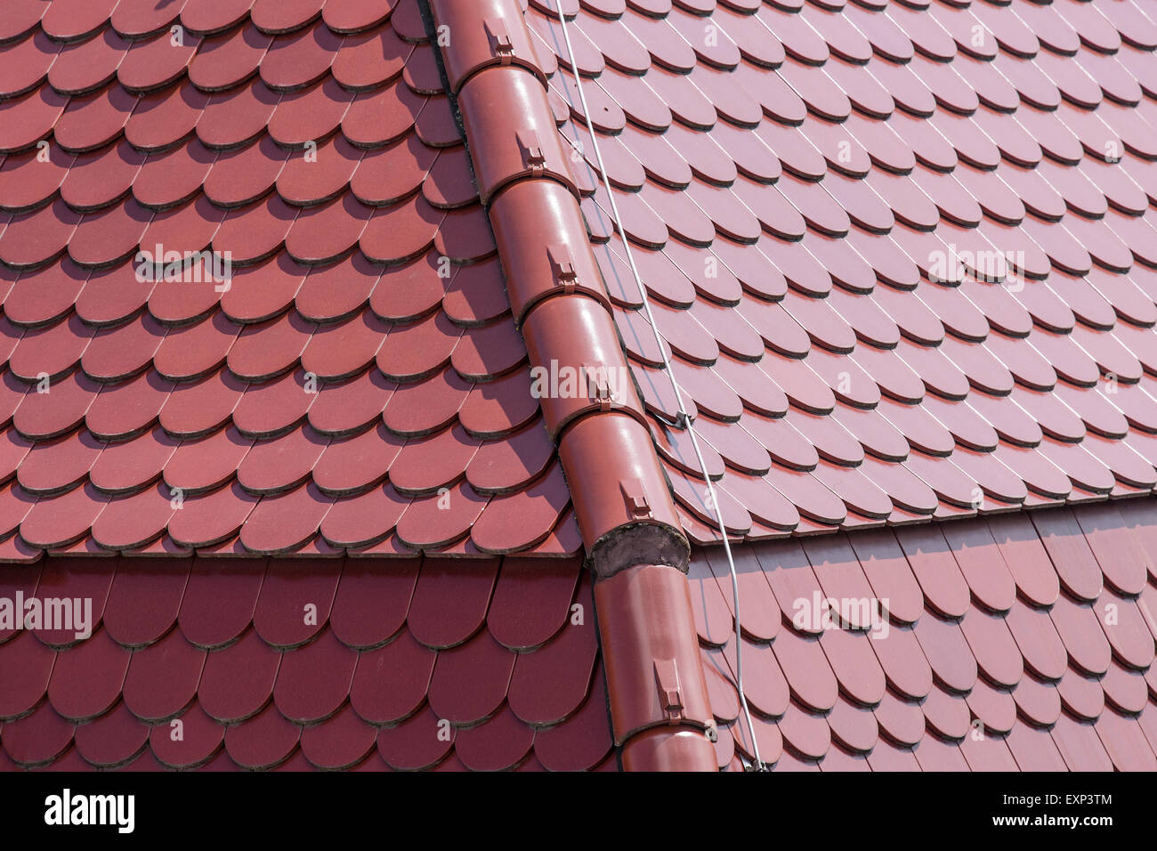 Tiles, roof, detail, Stuttgart, Baden-Württemberg, Germany Stock Photo