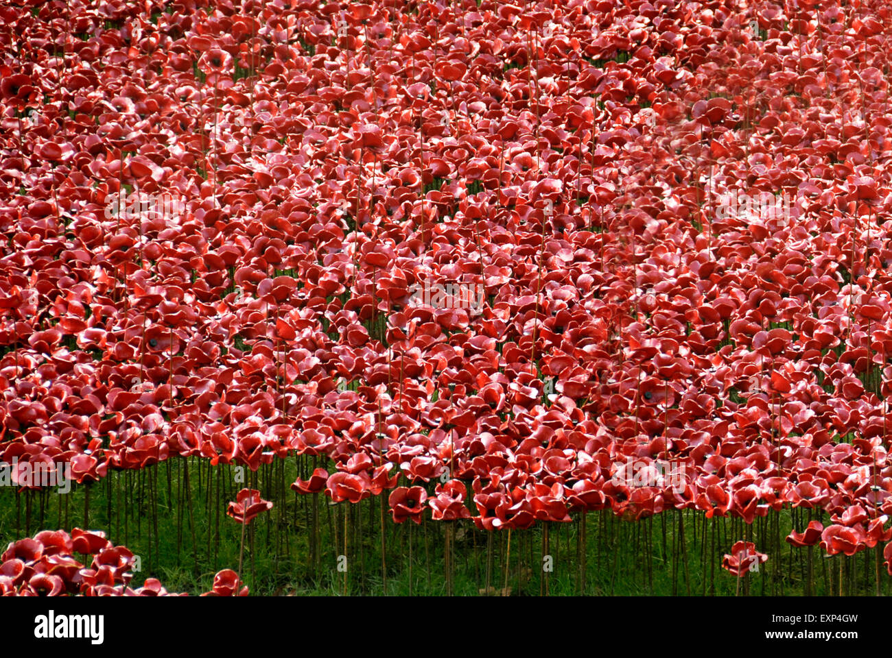 Blood Swept Lands and Seas of Red, Tower of London Poppies World War One Art Installation, London 2014 Stock Photo