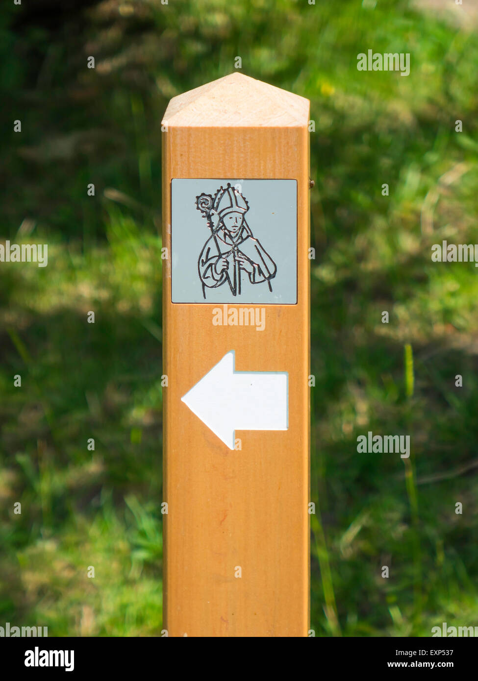 Wooden marker post on the Bishop's Path in the Deer Park at Auckland Castle Stock Photo
