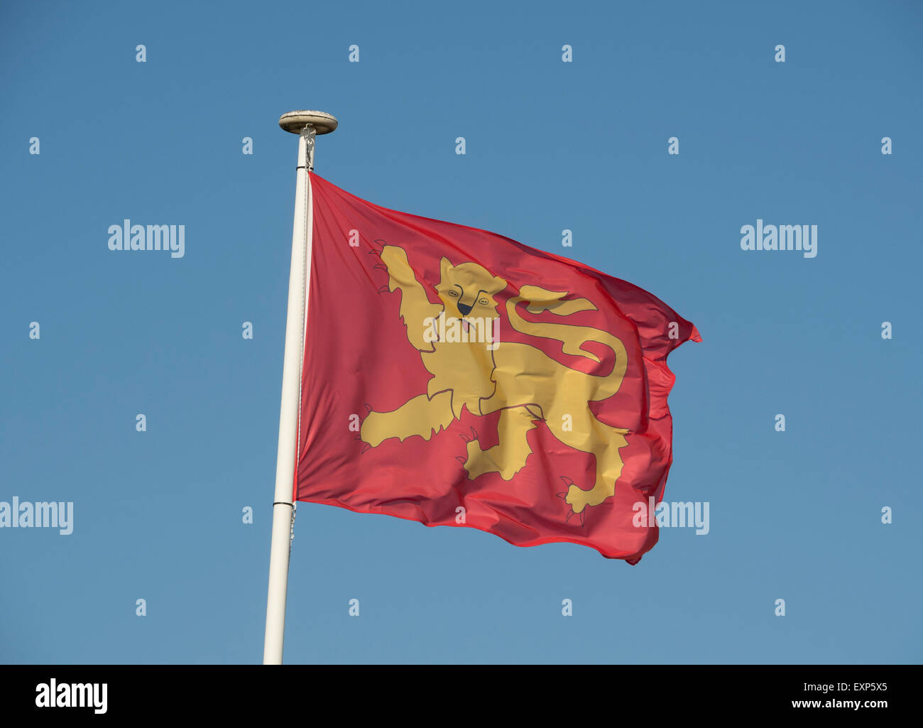 Plantagenet  flag floating in the wind Stock Photo