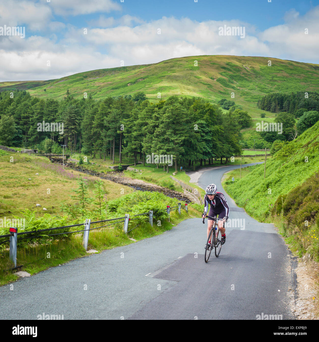 Mature woman cycling in the Trough of Bowland, Lancashire, UK Stock Photo