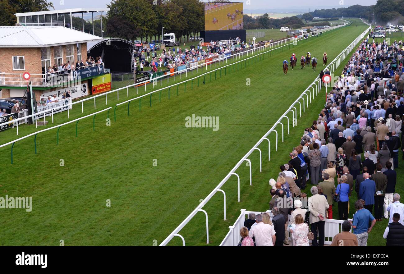 Horses and riders approach the finish line at Salisbury Races Stock