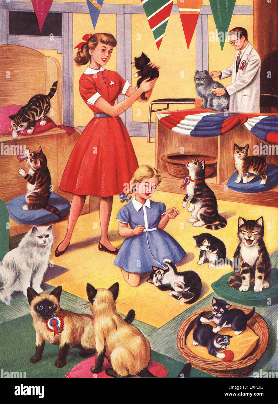 1950s UK Cats Book Plate Stock Photo Alamy