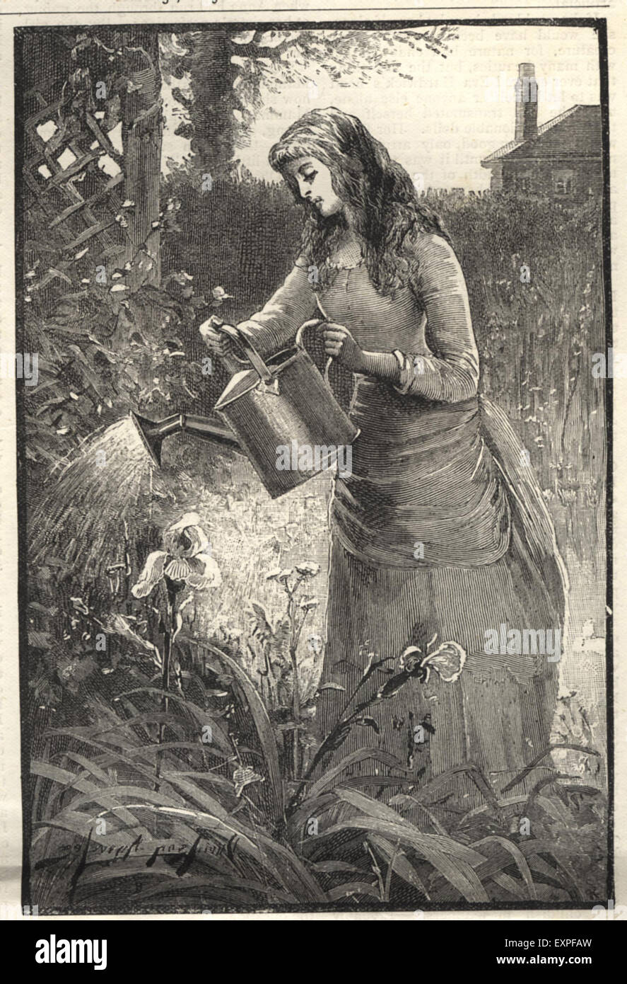 1900s UK Watering The Garden Magazine Plate Stock Photo