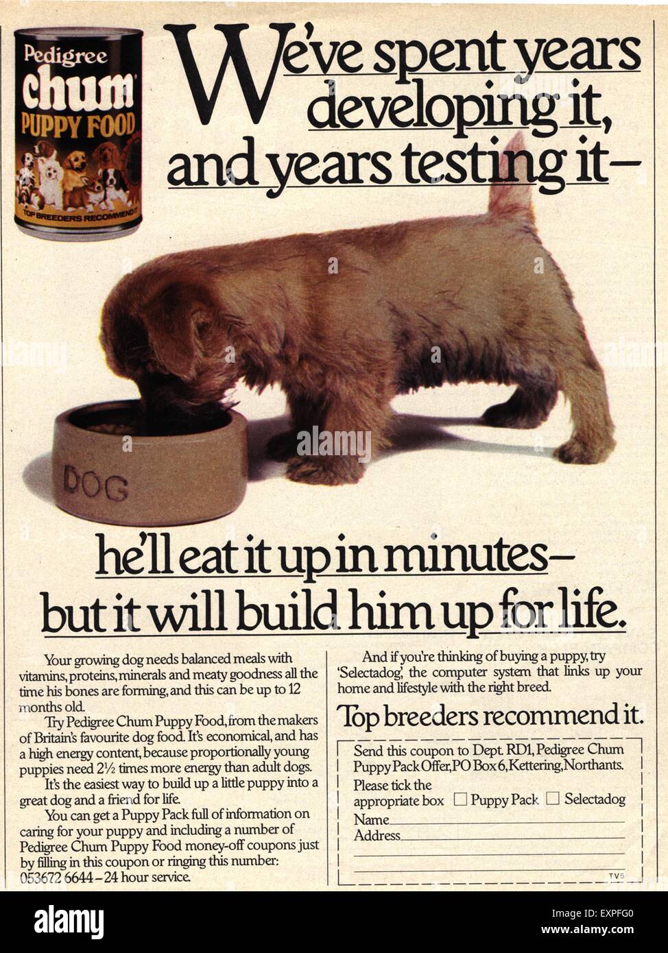 1970s UK Pedigree Chum Magazine Advert Stock Photo