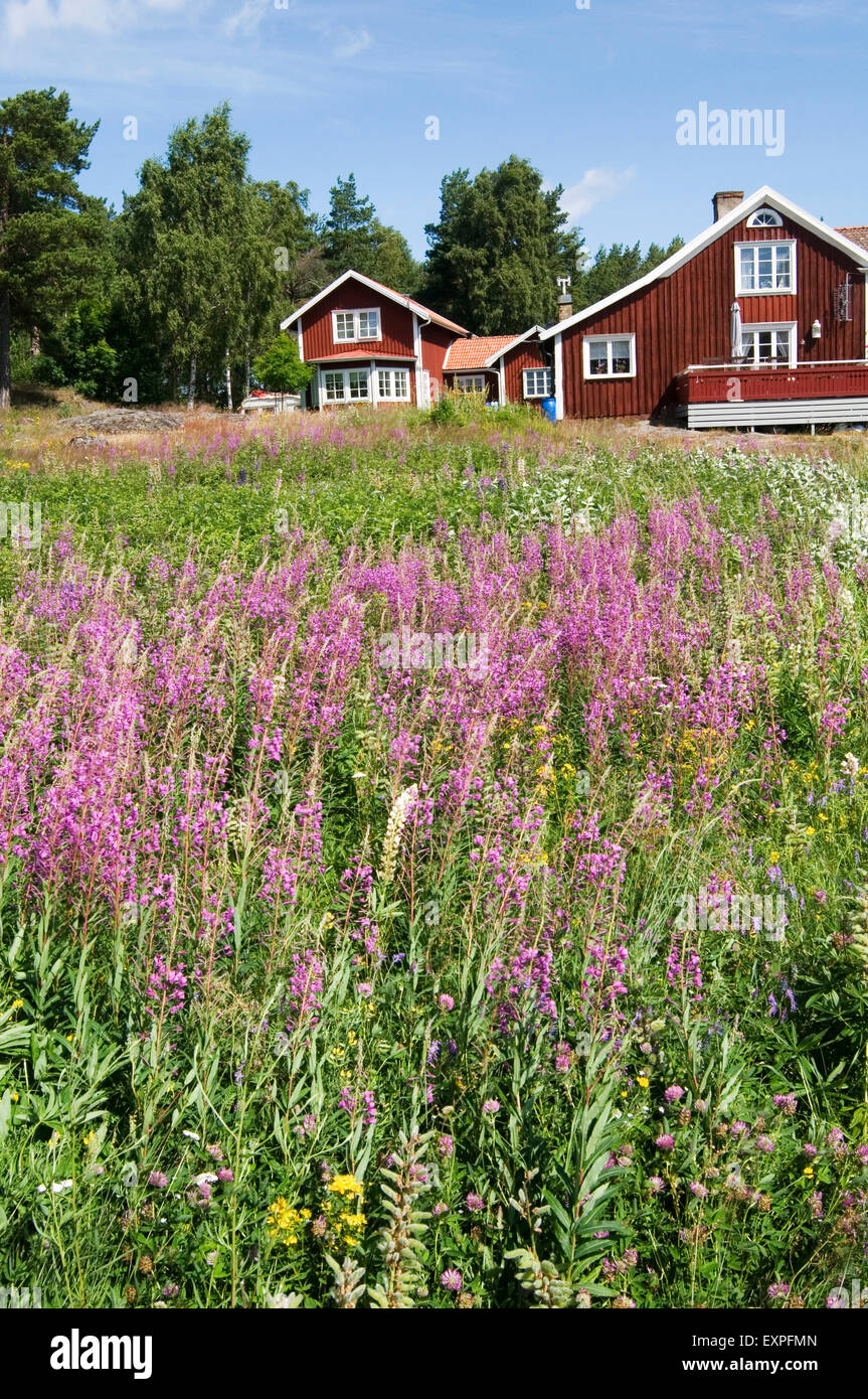 falun red traditional buildings building paint meadow rural sweden