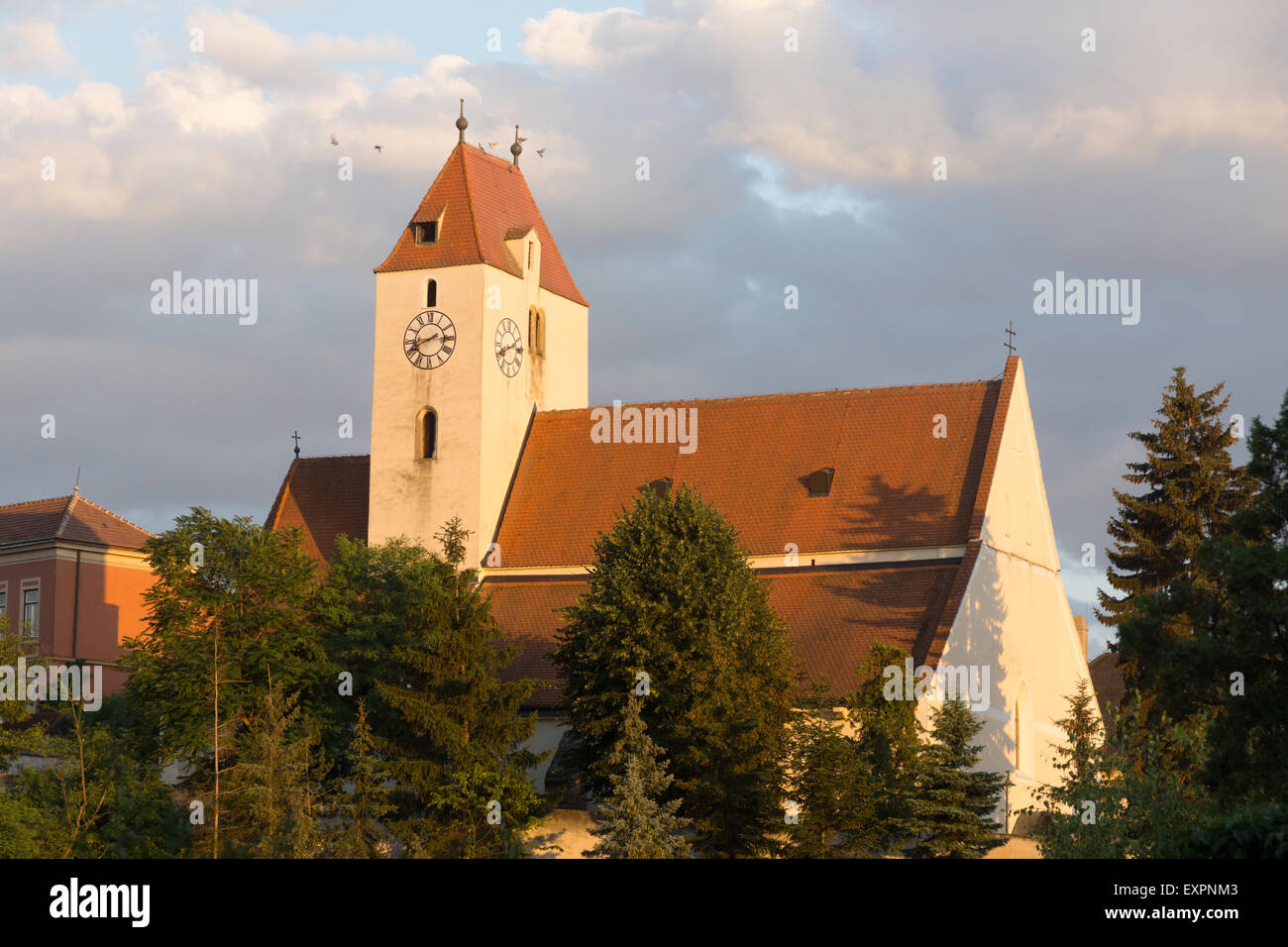 Pigeons flying over the clock tower of Sankt Pankratius church at sunset in Lengenfeld, Lower Austria Stock Photo