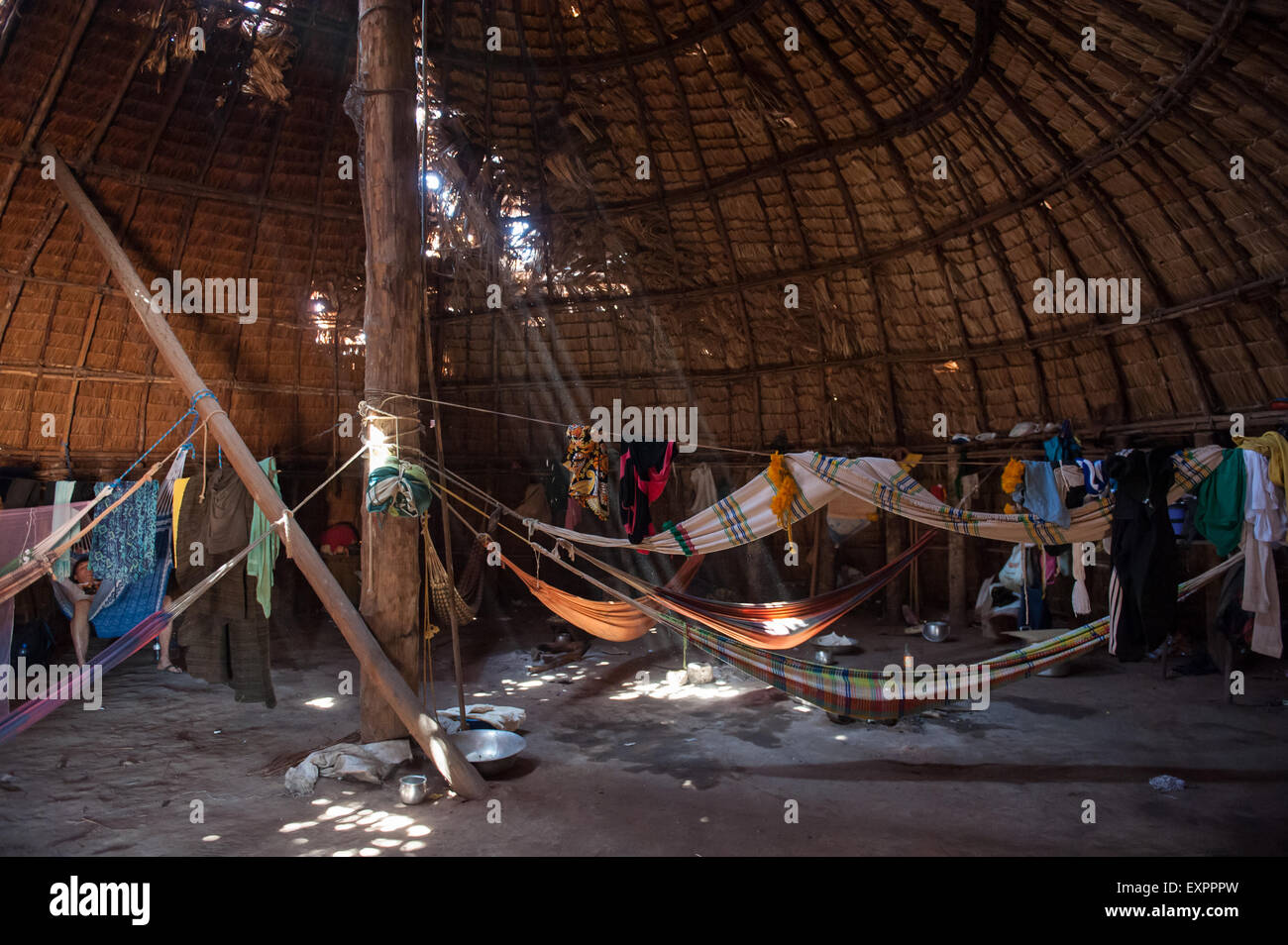Xingu Indigenous Park, Mato Grosso, Brazil. Aldeia Matipu. Guests' hammocks inside the house. Stock Photo