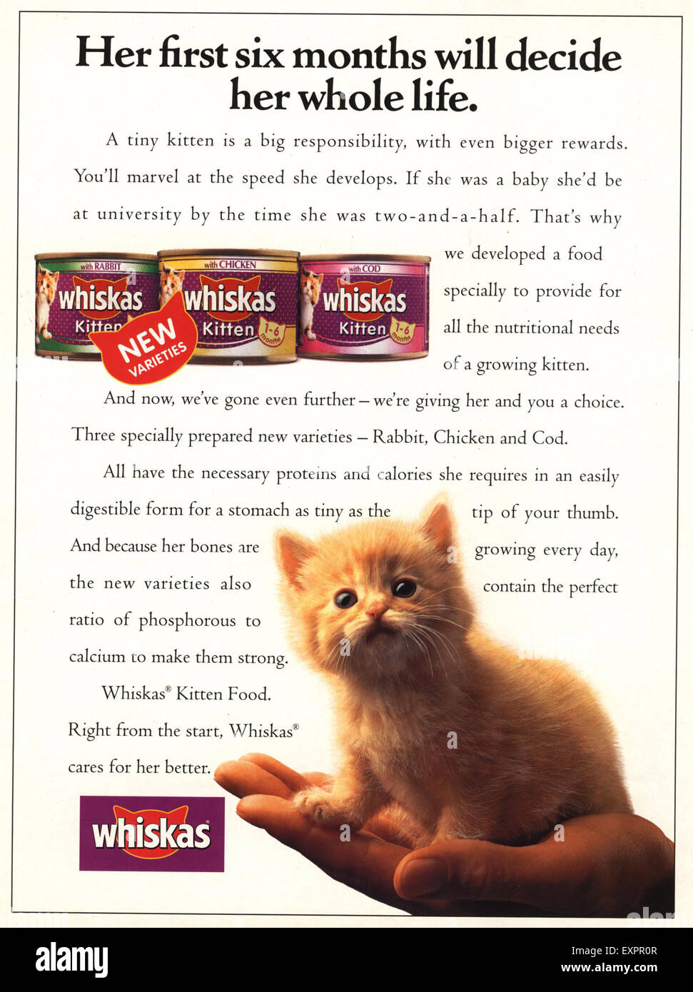 1990s UK Whiskas Magazine Advert Stock Photo Alamy