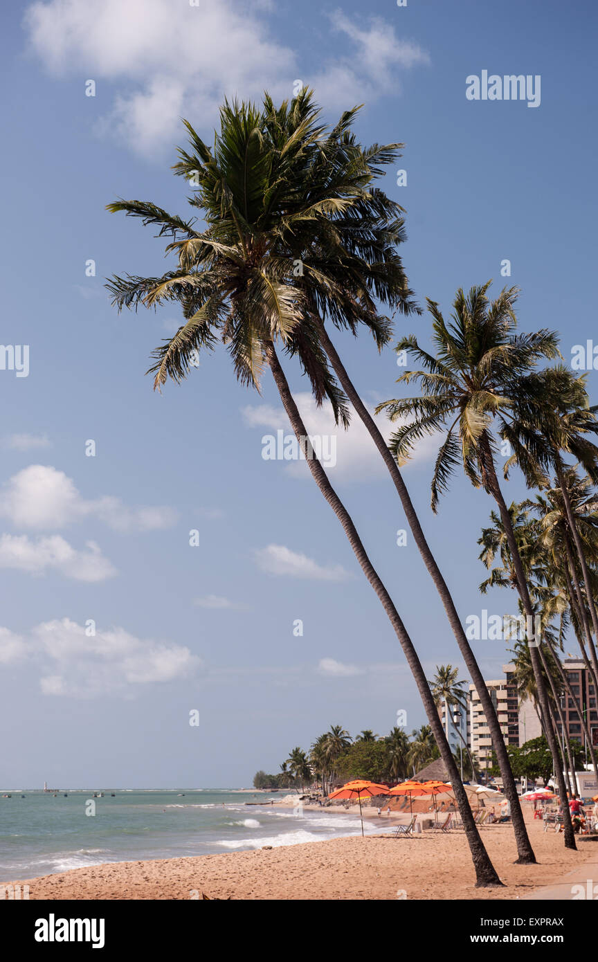 Maceio, Alagoas, State, Brazil. Ponta Verde beach; palm trees. Stock Photo
