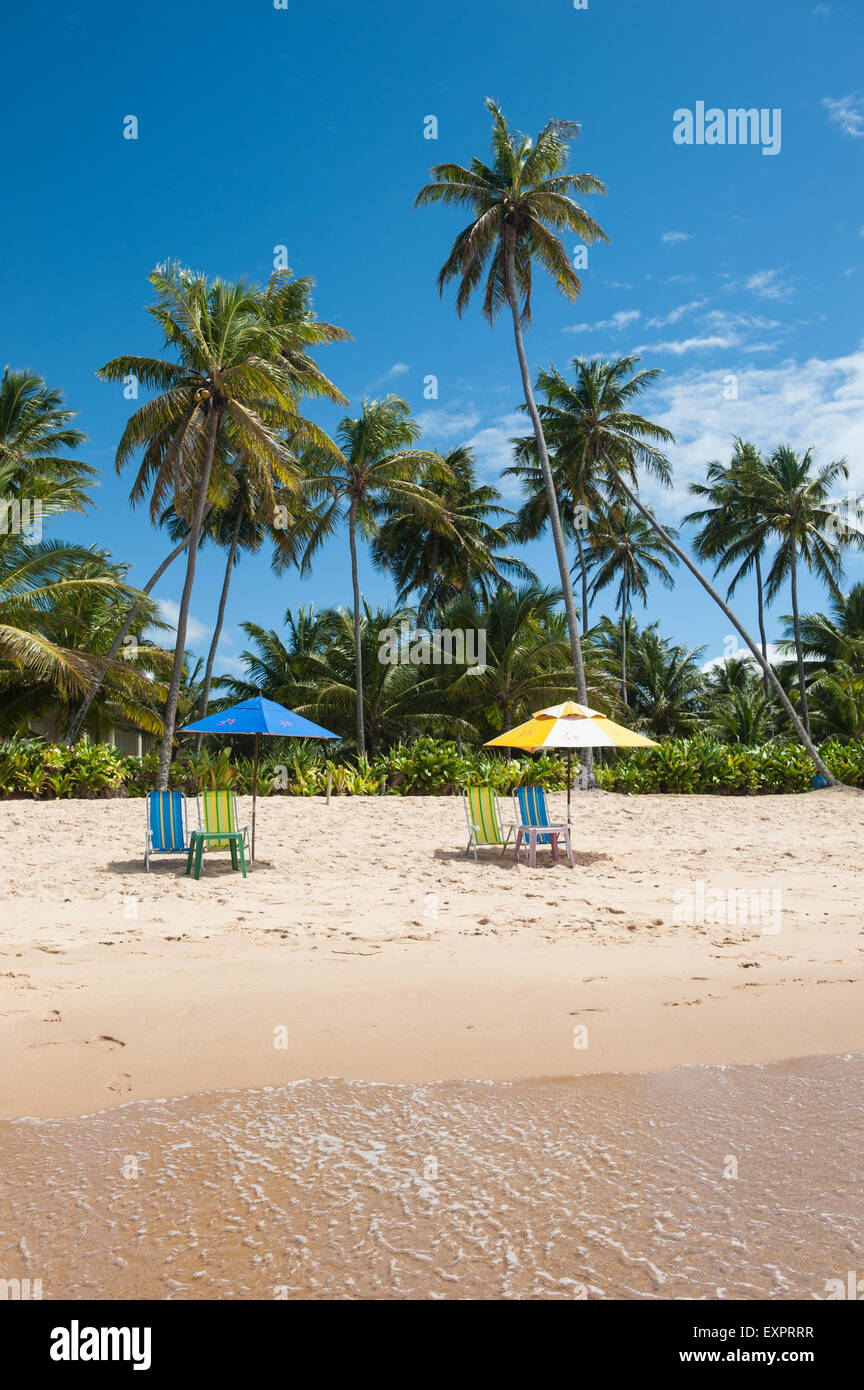 Praia do Forte, Bahia State, Brazil. Palm trees, two sunshades, four deck chairs, beach. Stock Photo