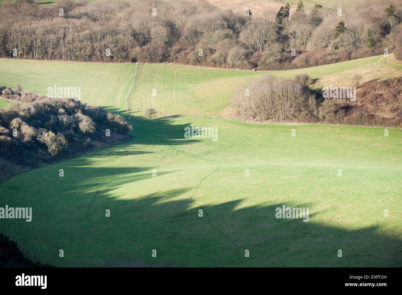 English countryside. England. Long winter shadows of trees on a field. Stock Photo
