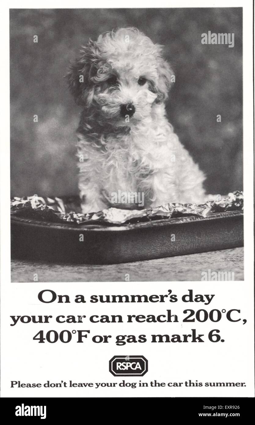 1990s UK RSPCA Magazine Advert Stock Photo Alamy
