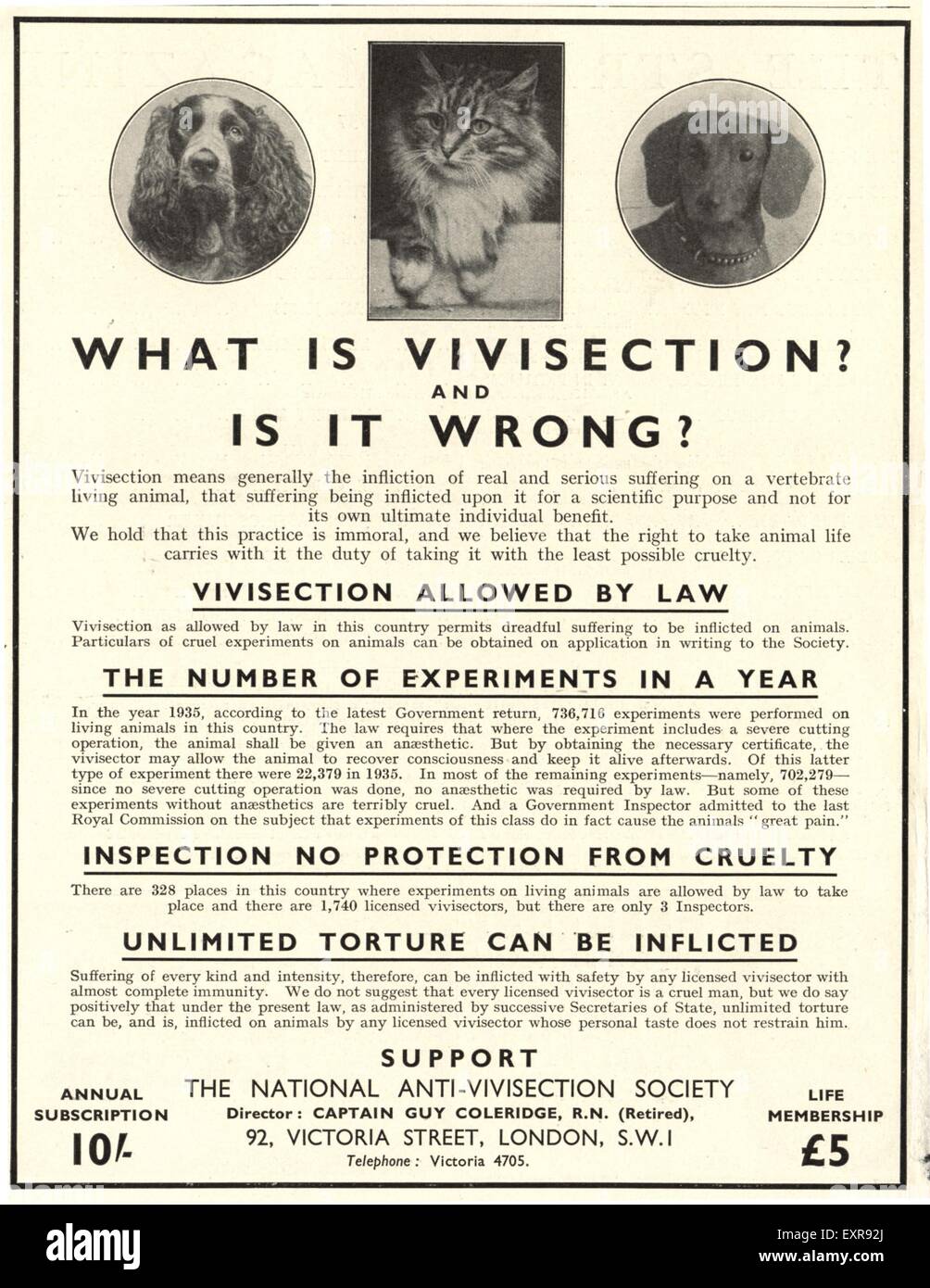 1920s UK National Anti-Vivisection Society Magazine Advert Stock Photo