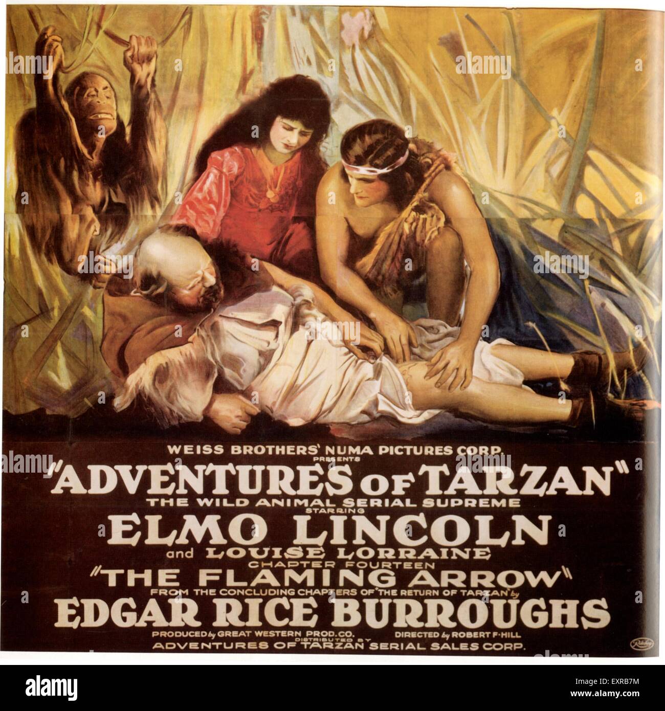 1920s USA The Adventures Of Tarzan Film Poster Stock Photo
