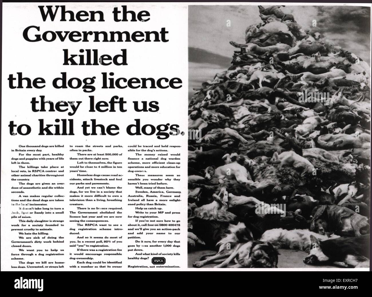 Why Was The Dog Licence Abolished