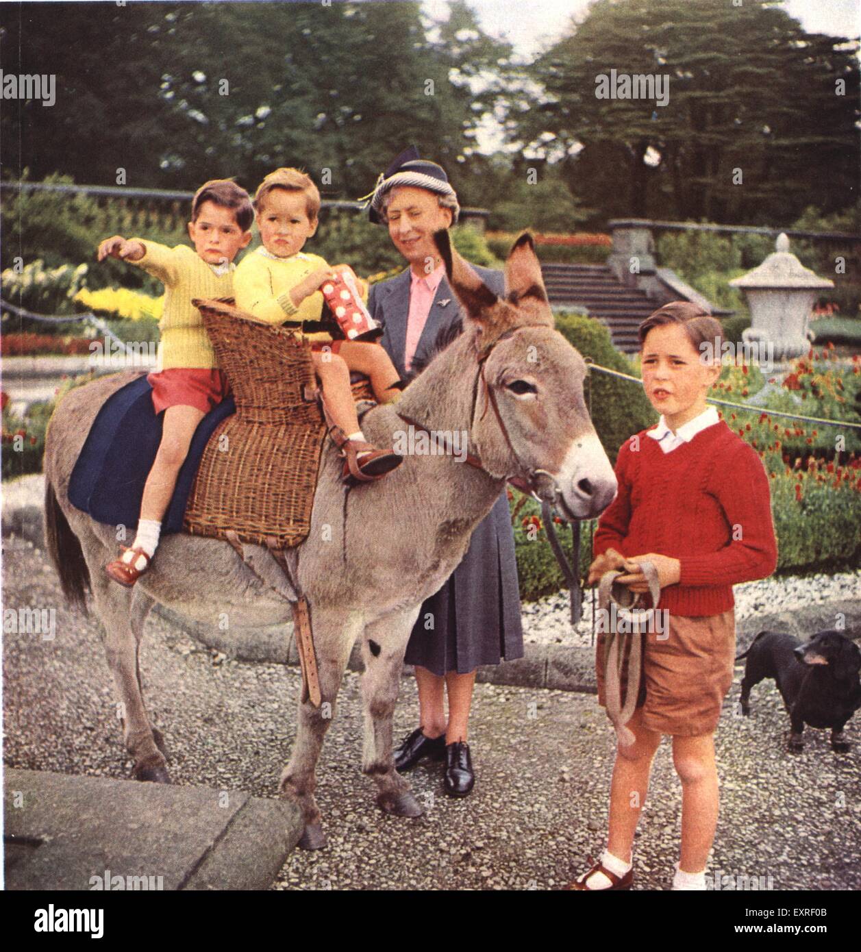 1960s UK Donkey Rides Magazine Plate Stock Photo - Alamy