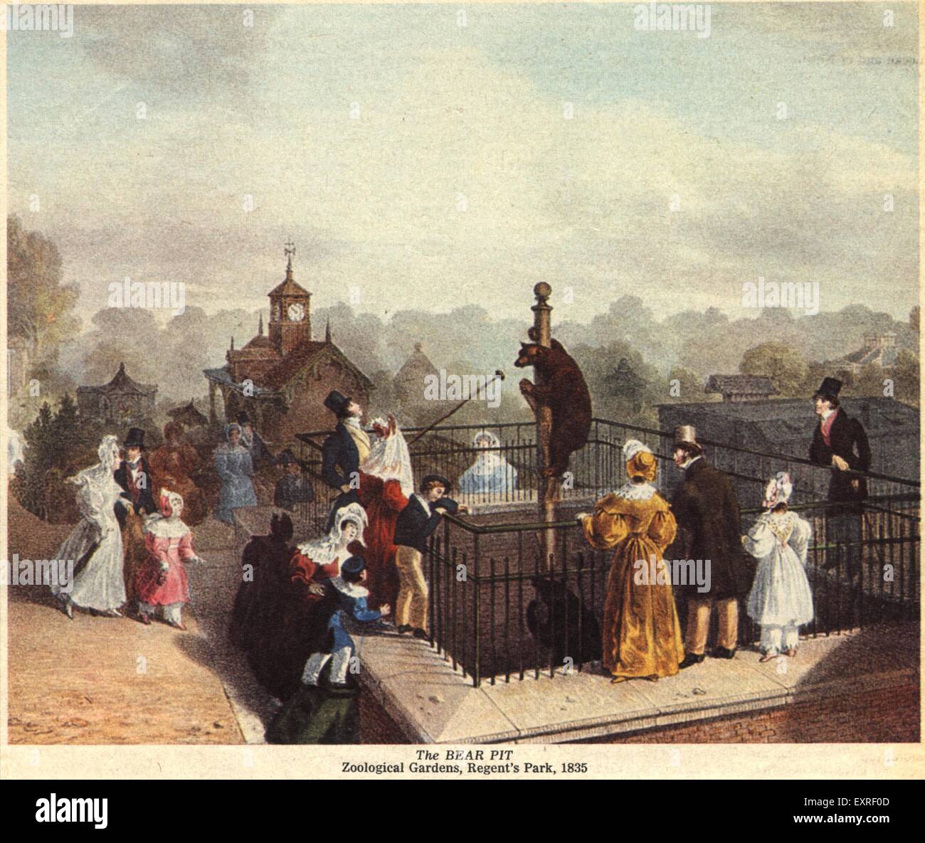 1840s & Pre UK London Zoo Magazine Plate Stock Photo