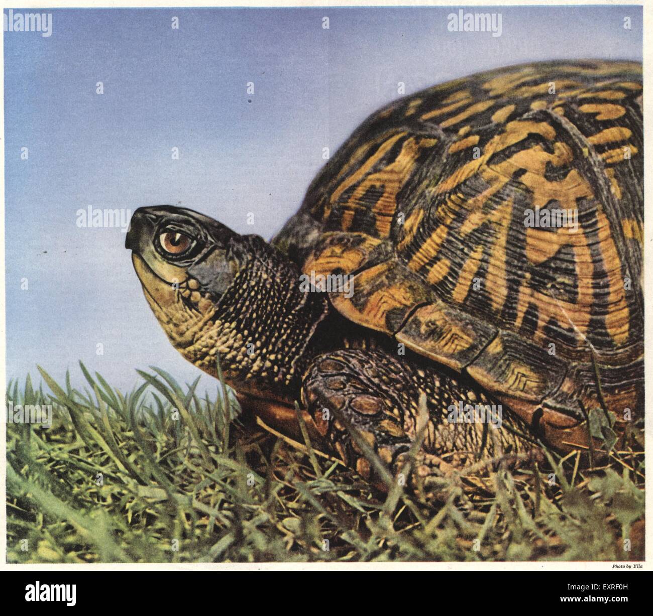 Uk 1960s hi-res stock photography and images - Alamy
