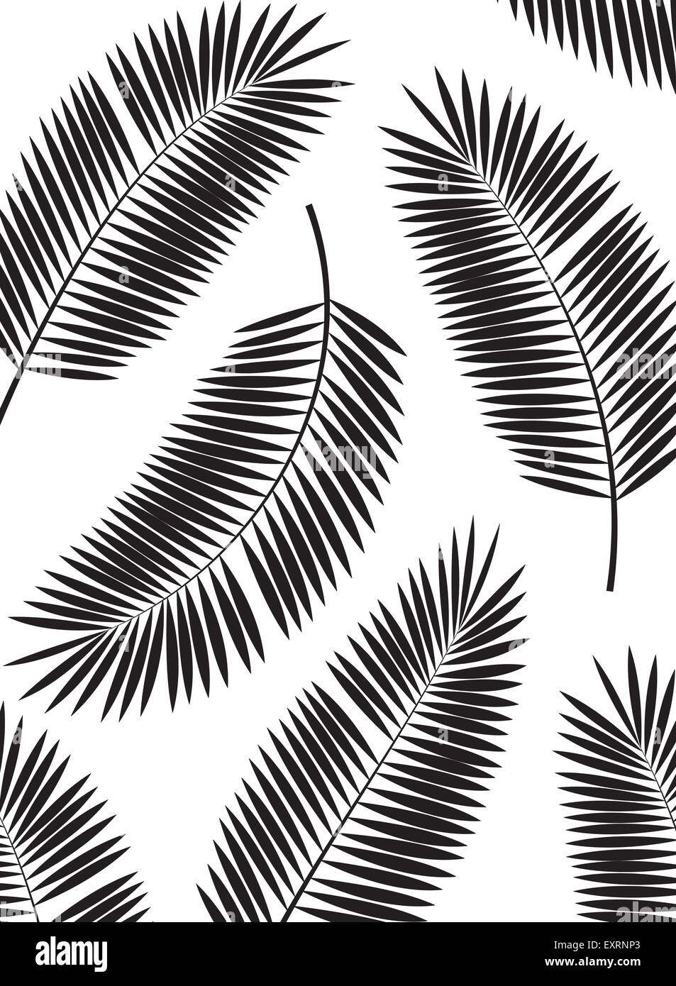 Palm Leaf Vector Frame Background Illustration Stock Vector Image Art Alamy