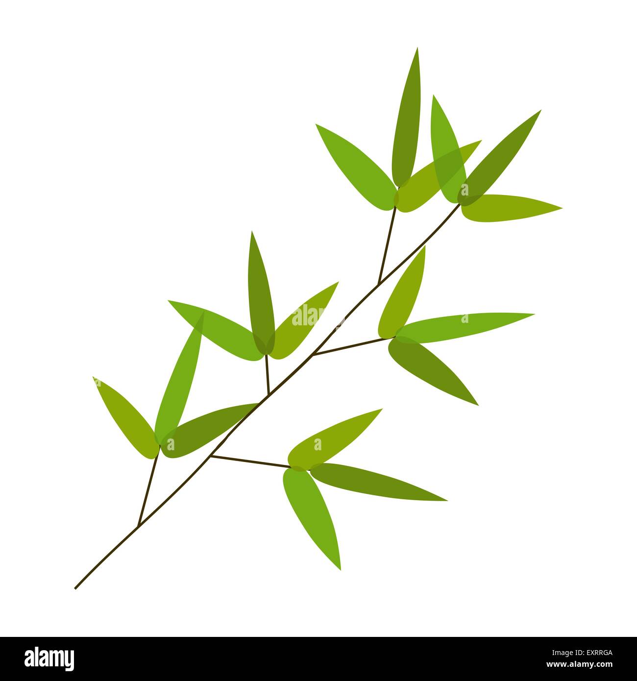Colourful Bamboo Leaves. Vector Illustration Stock Vector Image & Art
