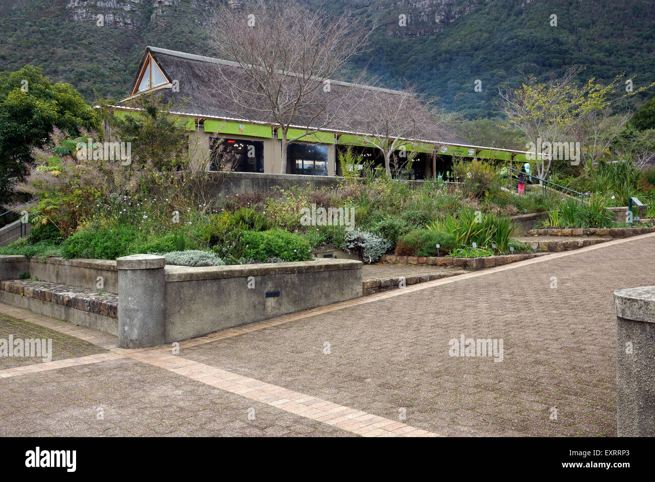 Kirstenbosch tea room hires stock photography and images Alamy