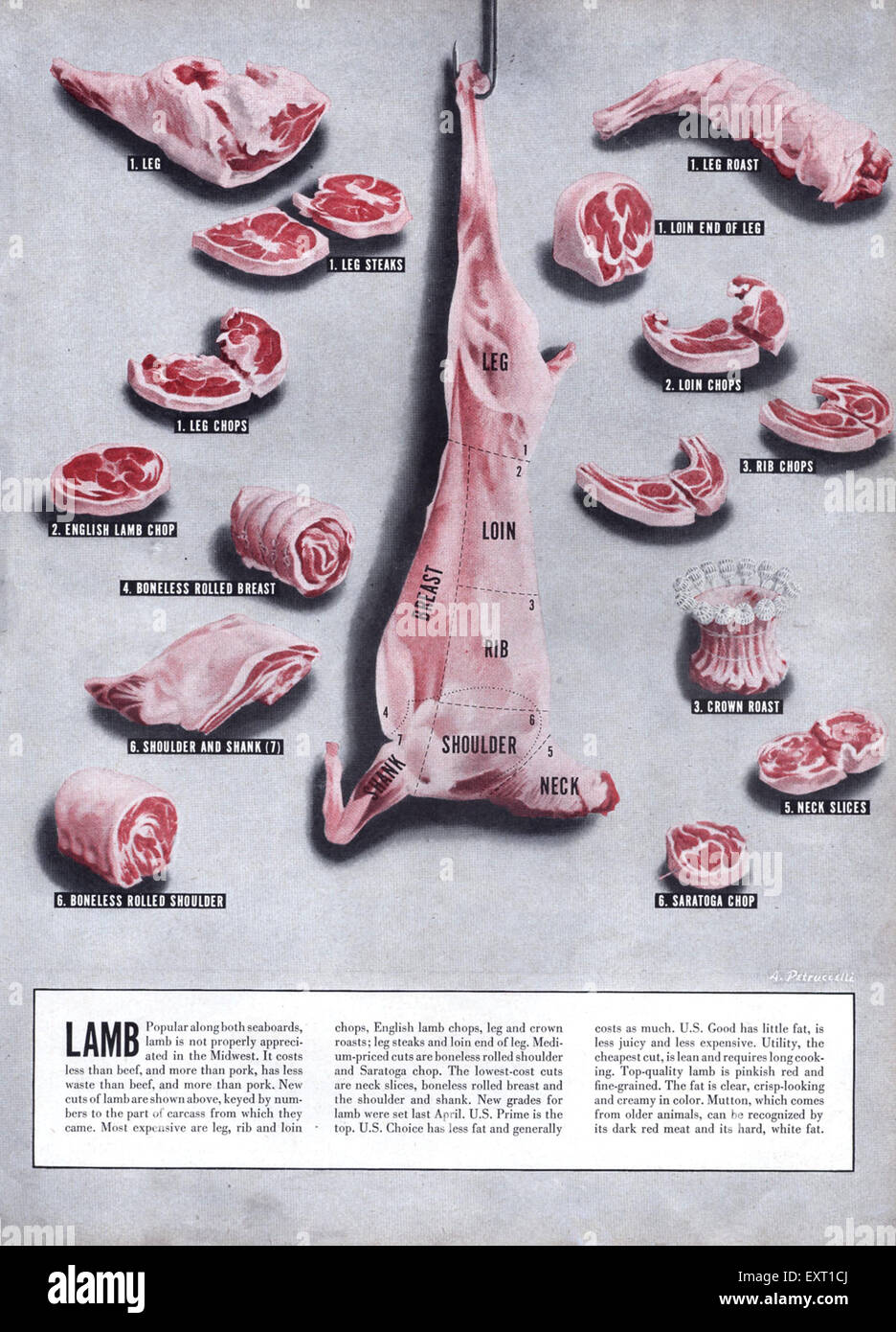 Meat advert hires stock photography and images Alamy