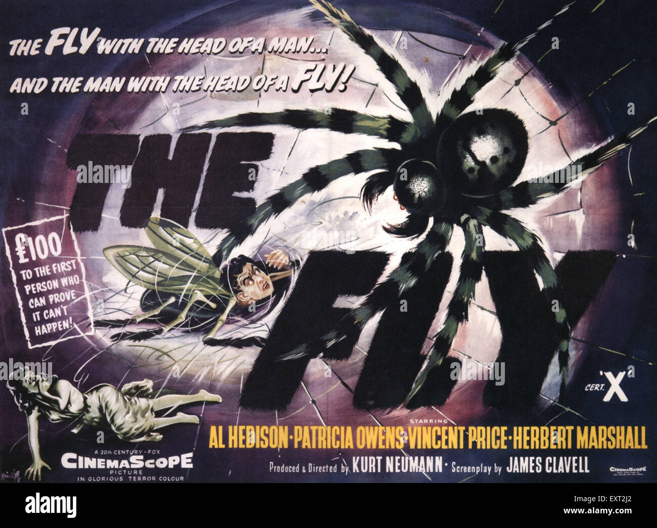 1950s UK The Fly Film Poster Stock Photo