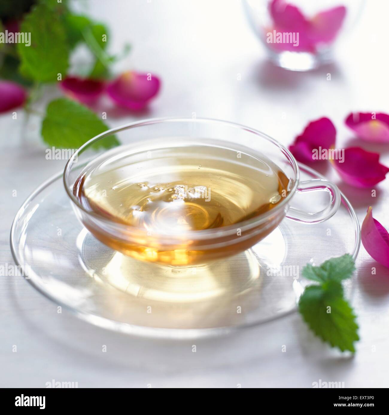 Rose lemon tea in glass cup, close-up Stock Photo