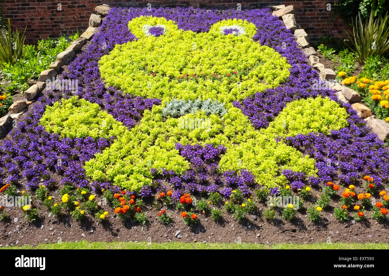 Kermit the Frog Bed of Flowers at Roundhay Park, Leeds, Yorkshire Stock Photo