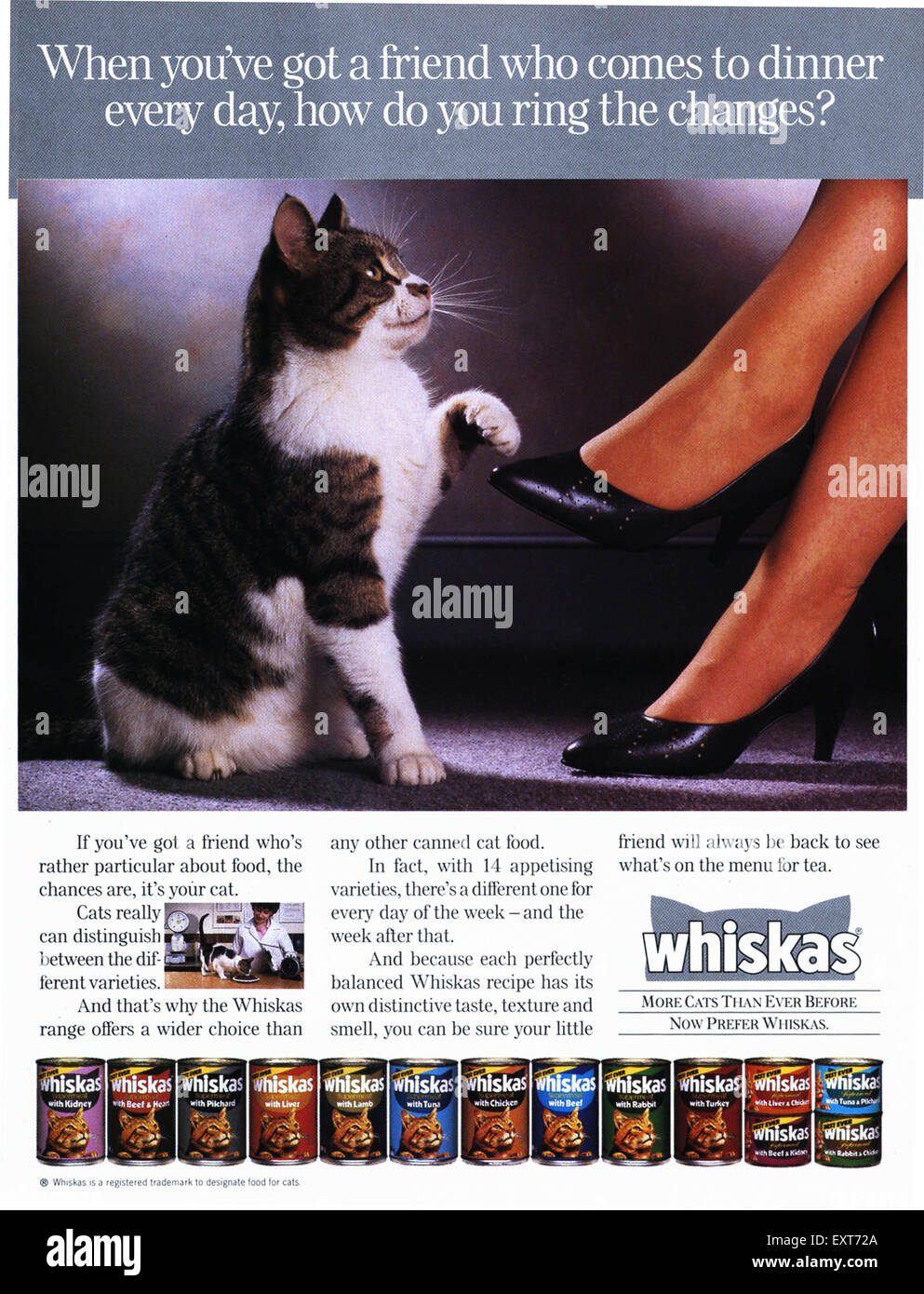 1990s UK Whiskas Magazine Advert Stock Photo