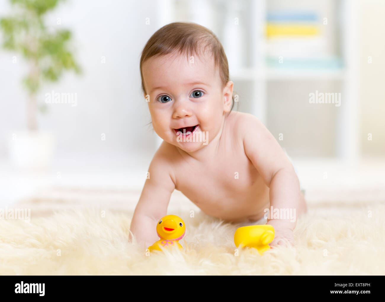 baby crawling on fluffy carpet at home Stock Photo Alamy