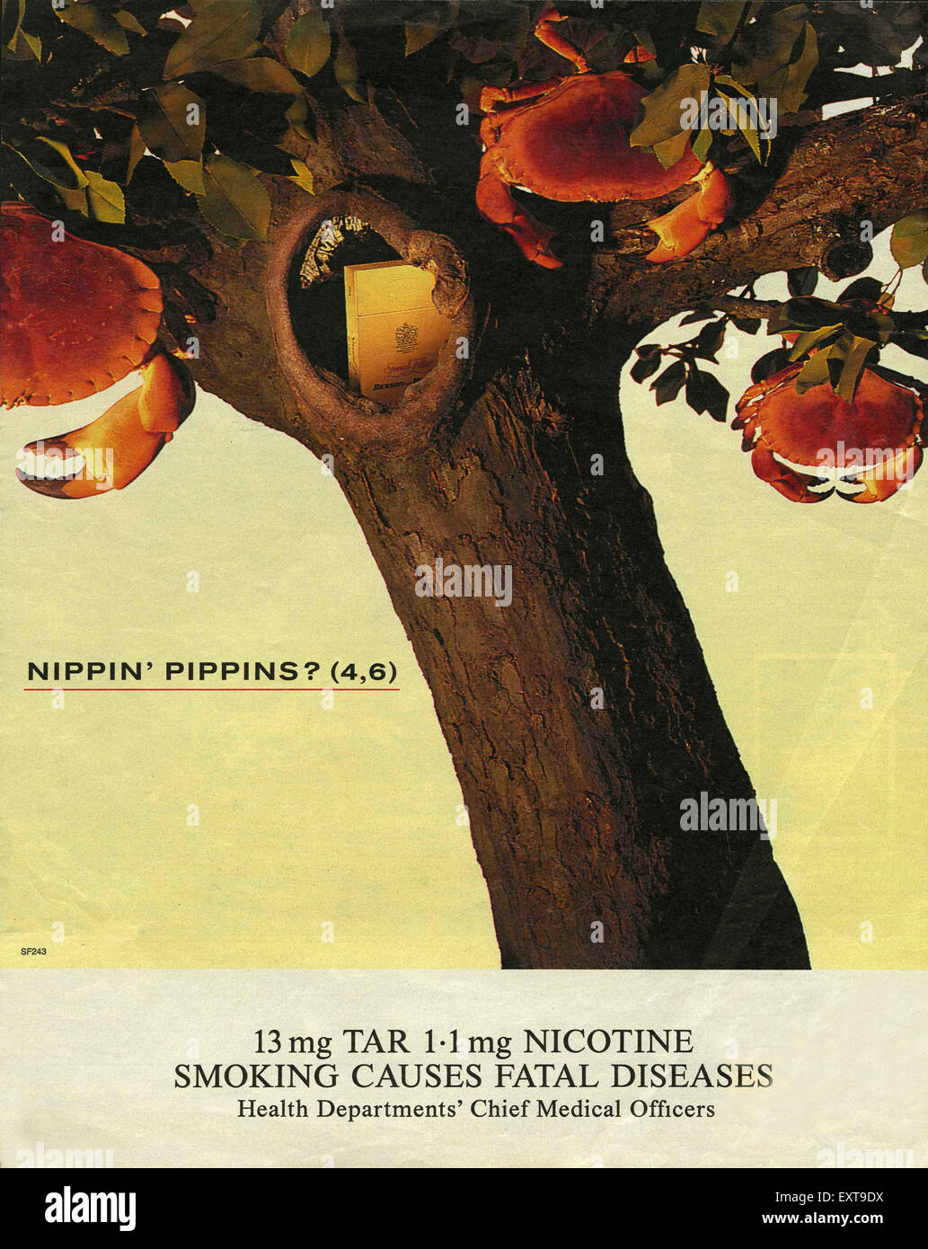 1990s UK Benson and Hedges Magazine Advert Stock Photo Alamy