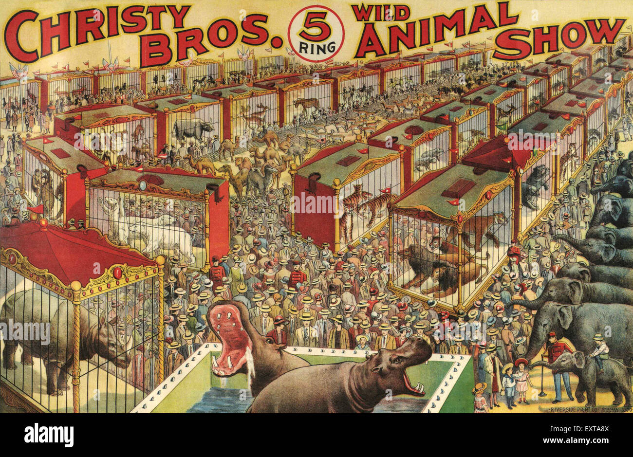 1920s USA Christy Bros Wild Animal Show Poster Stock Photo Alamy