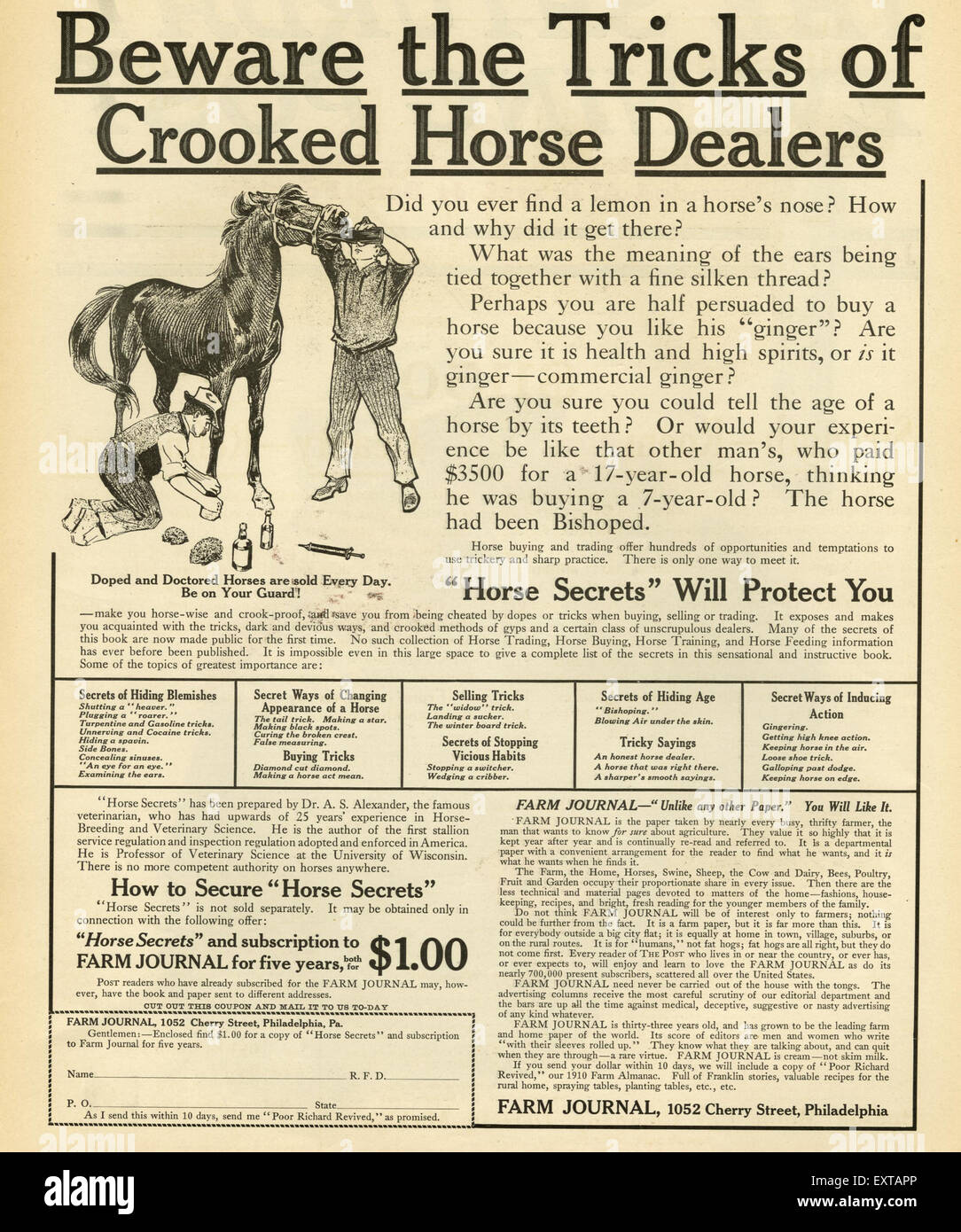 1910s USA Horse Traders Dealers Magazine Advert Stock Photo - Alamy