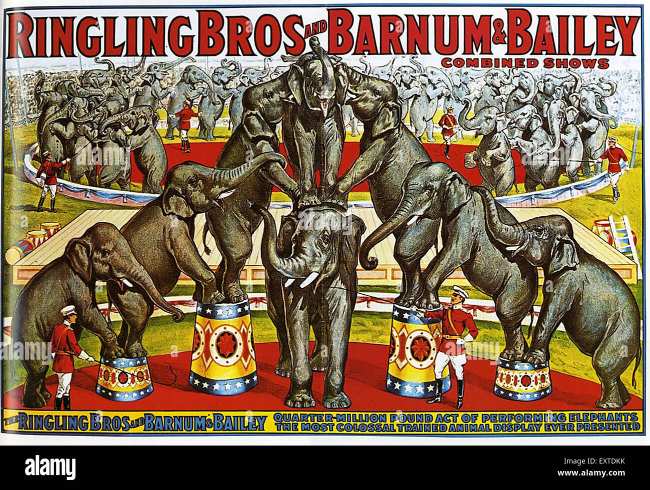 Ringling bros elephants hi-res stock photography and images - Alamy