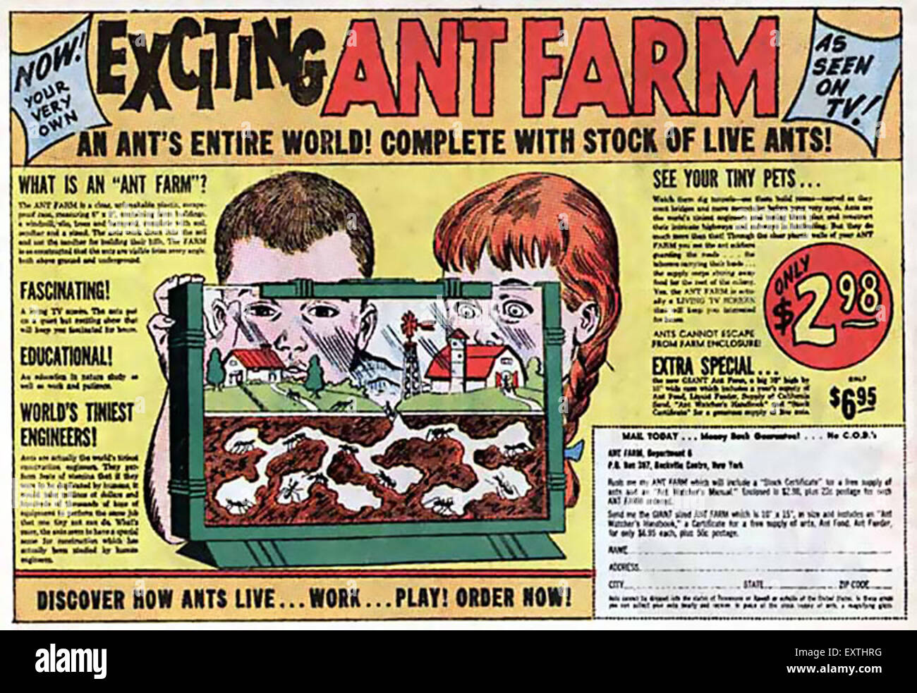 1960s usa ant farms magazine advert stock photo alamy