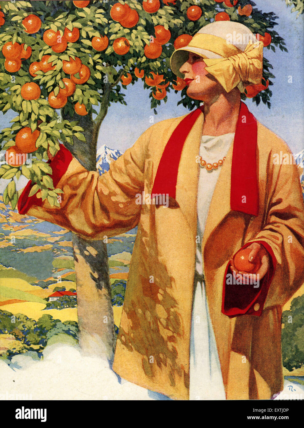 1920s USA Picking Oranges Magazine Plate Stock Photo Alamy