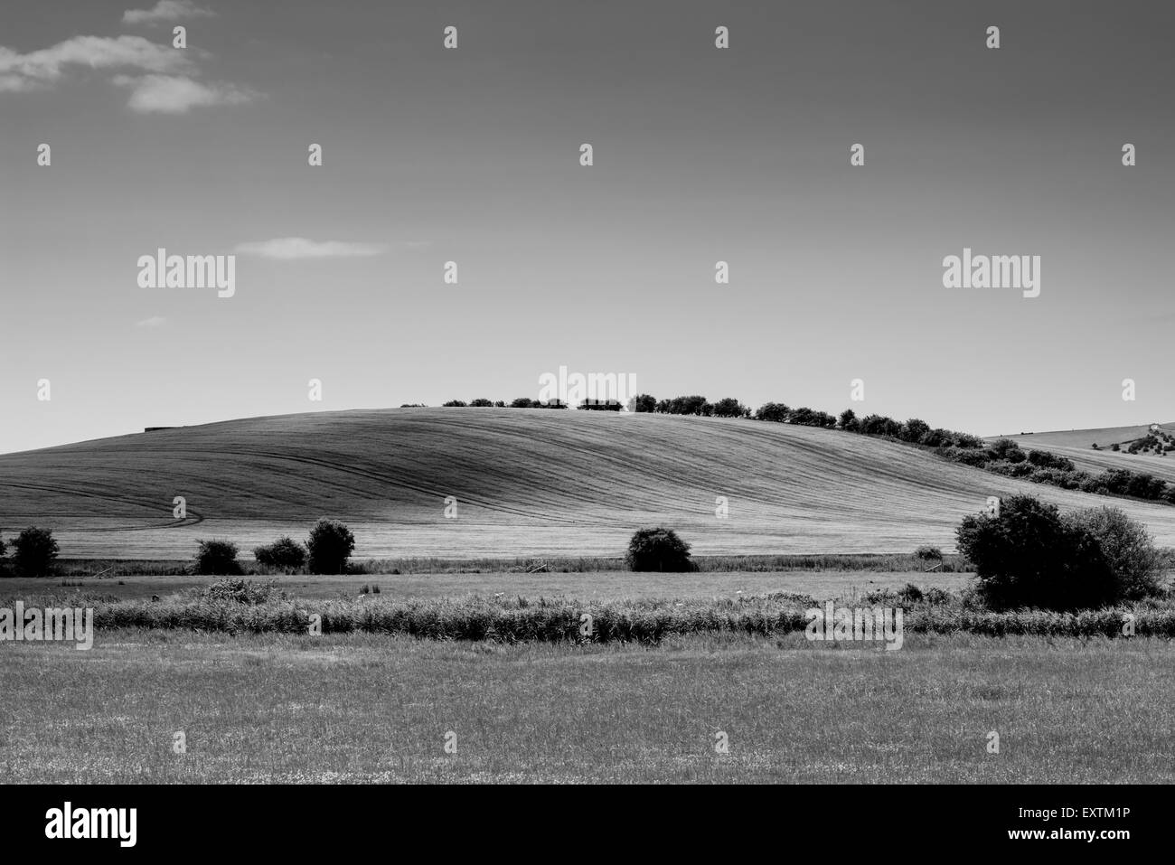 Black and white shot of a hillside viewed from the River Ouse between Lewes and Southease on a summer day Stock Photo