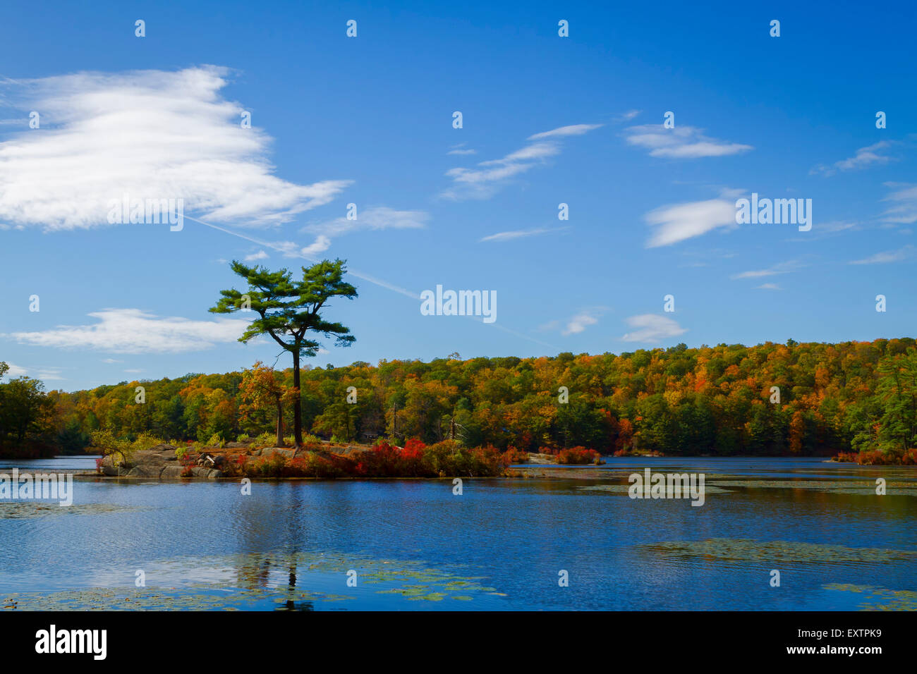 Fall landscape with the forest lake Stock Photo - Alamy