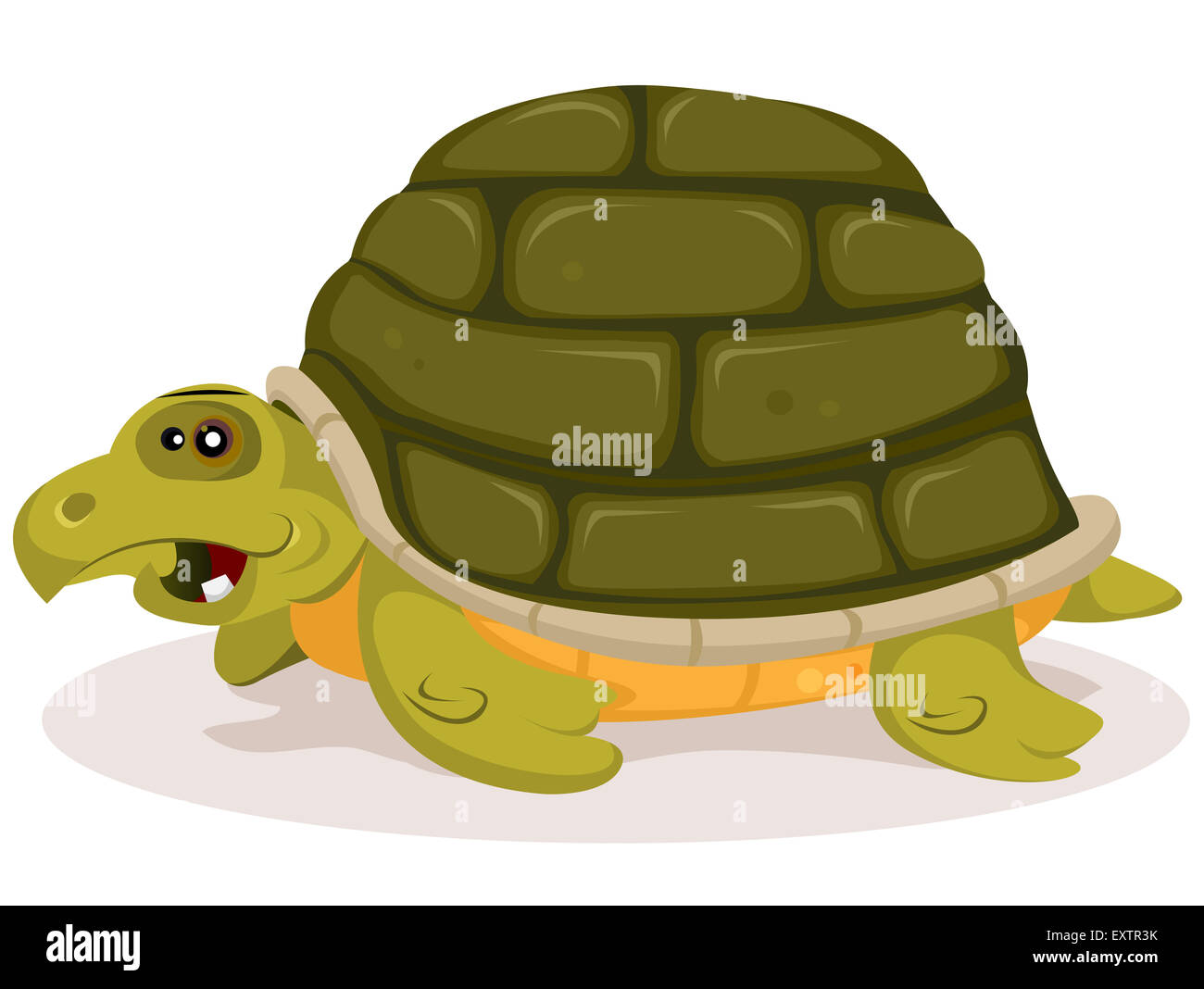 Illustration of a funny happy and cute cartoon green tortoise character with home shell on her back Stock Photo