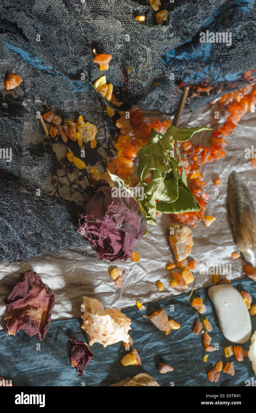retro still life with dried rose Stock Photo - Alamy
