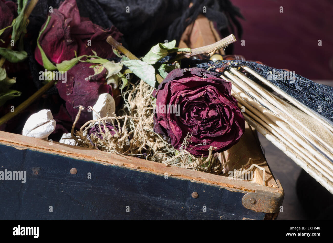 retro still life with dried rose Stock Photo - Alamy
